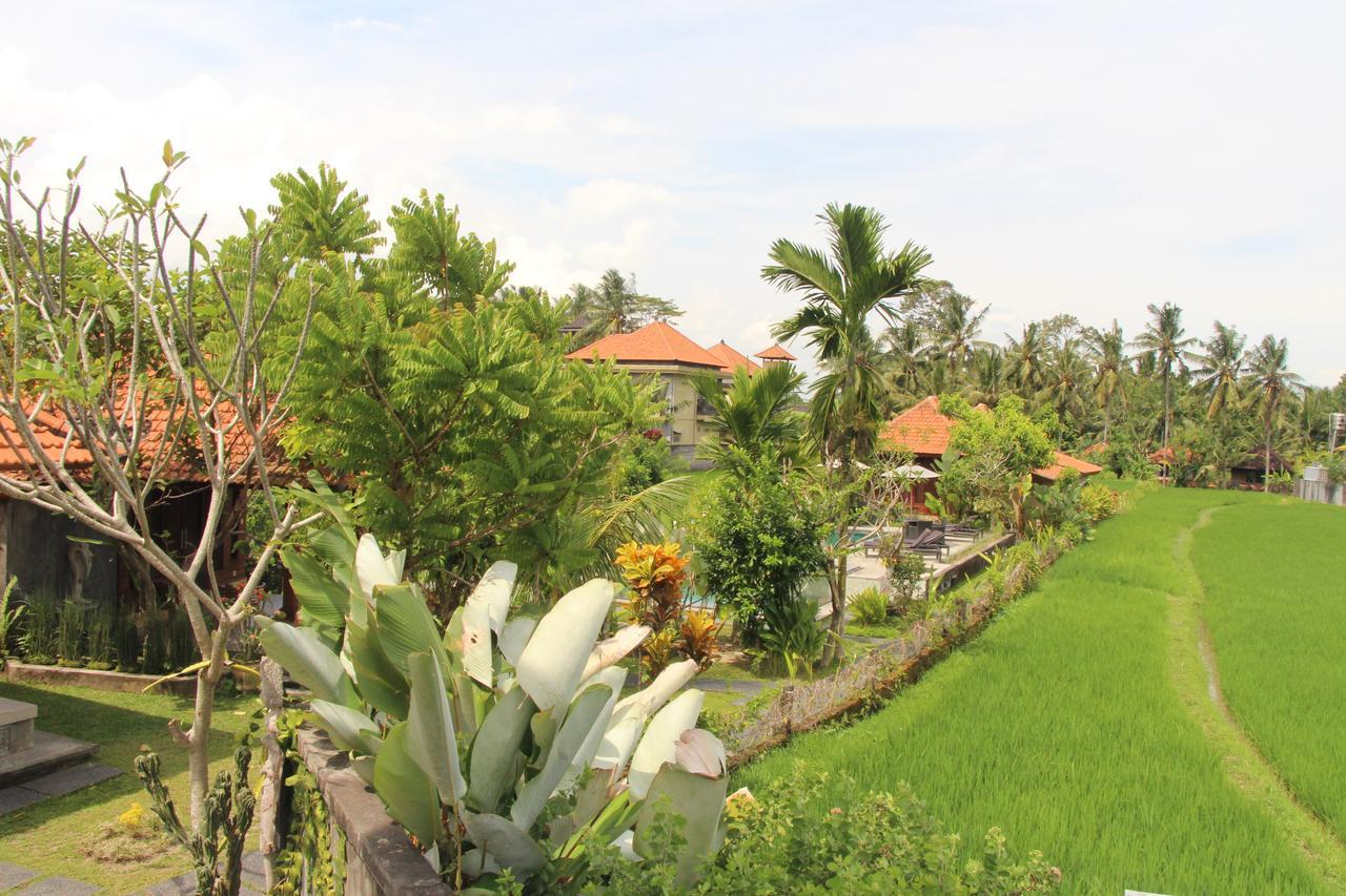 Nur Guest House By Purely Ubud Buitenkant foto